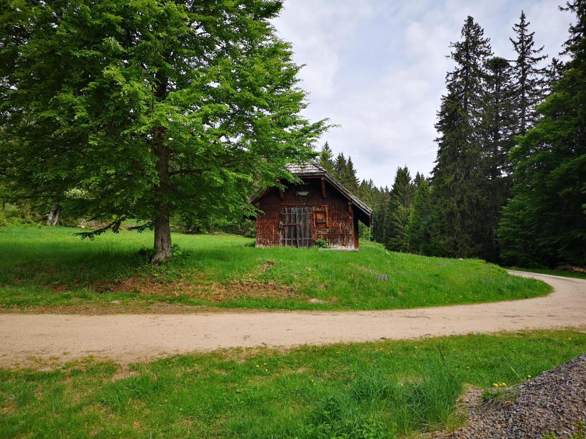 Apartment B2 Albmatte Menzenschwand