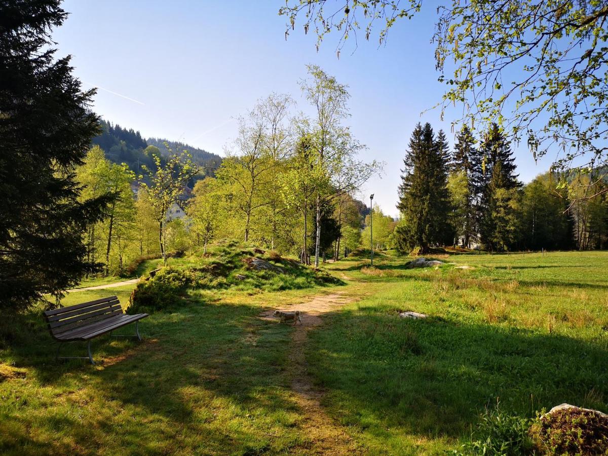 B2 Albmatte Menzenschwand