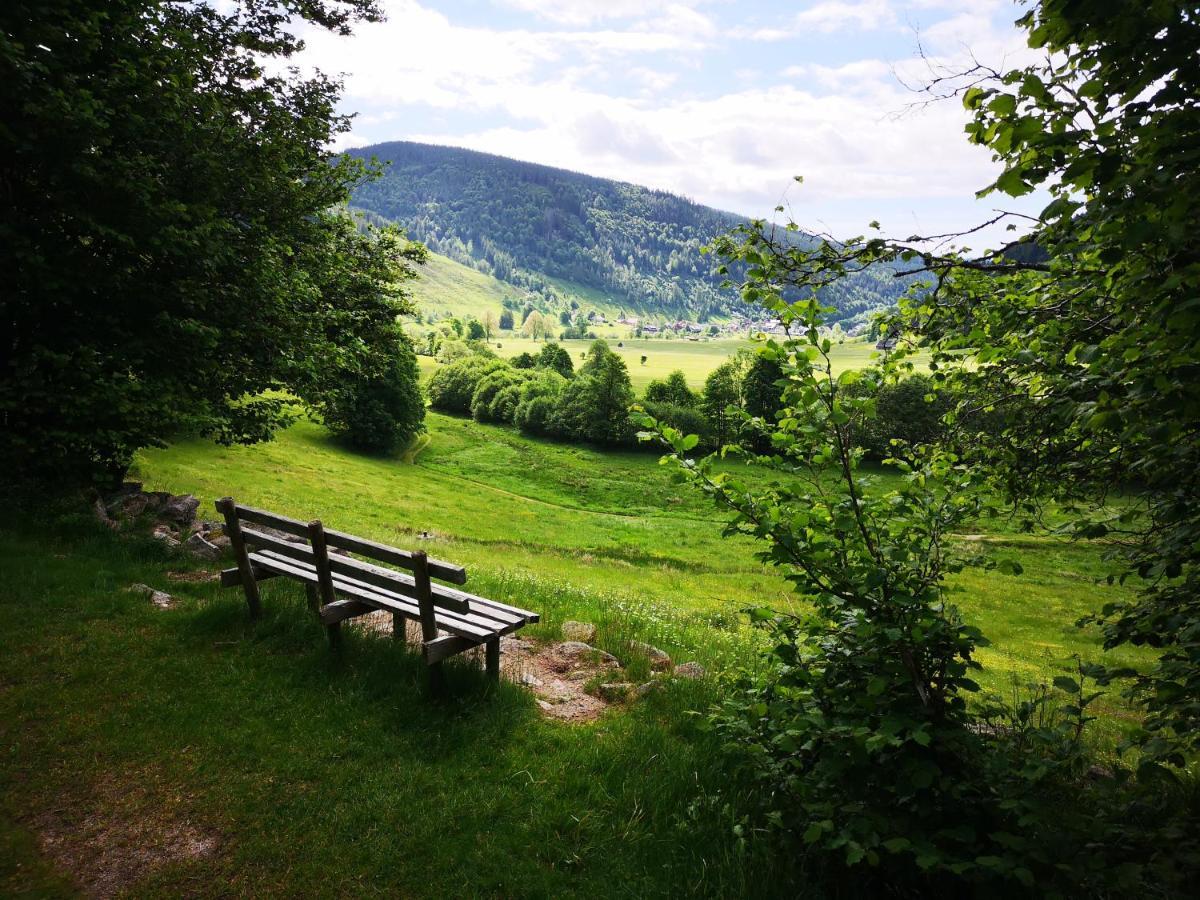 B2 Albmatte * Menzenschwand