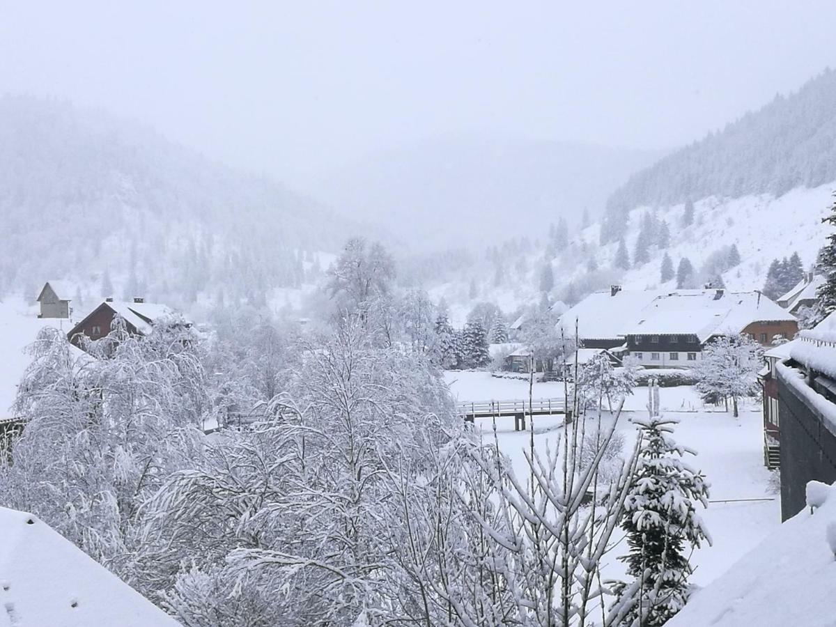 Apartment B2 Albmatte Menzenschwand
