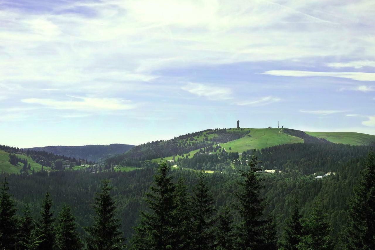 Apartment B2 Albmatte Menzenschwand