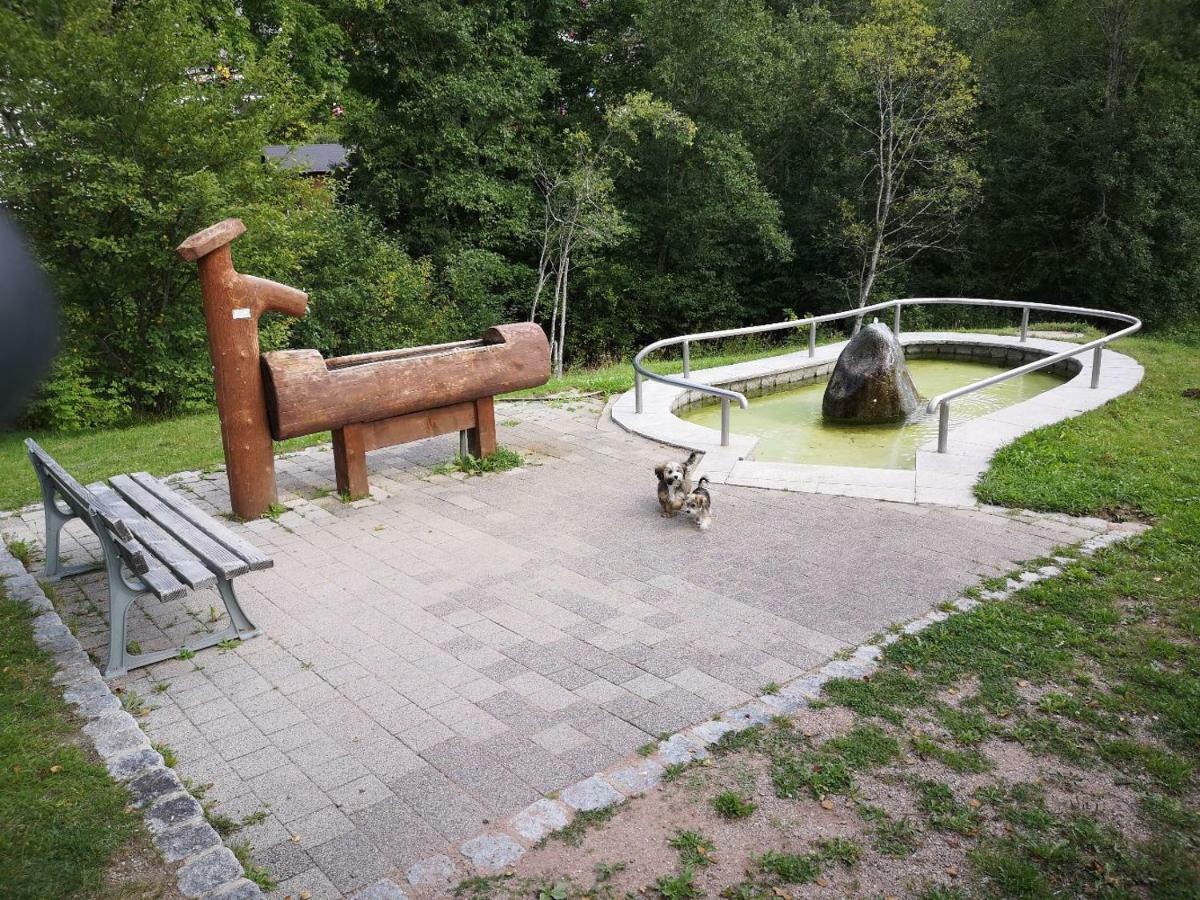 B2 Albmatte * Menzenschwand