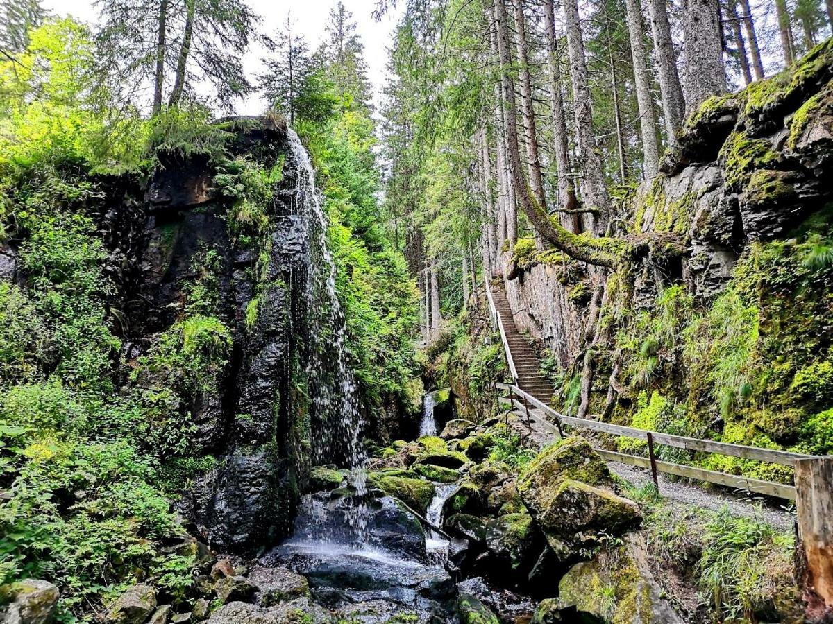 B2 Albmatte * Menzenschwand